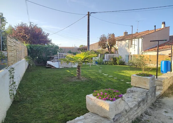 Papillon De La Péroterie Mauzé-sur-le-Mignon